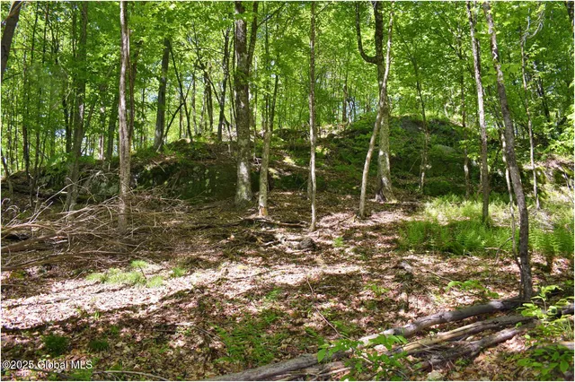 $245,000 | 364 Pease Hill Road, Horicon, NY 12815