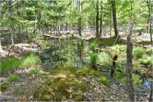 $245,000 | 364 Pease Hill Road, Horicon, NY 12815