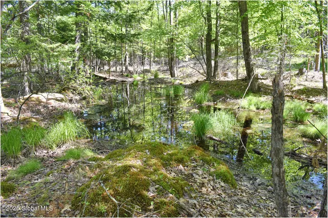 $245,000 | 364 Pease Hill Road, Horicon, NY 12815