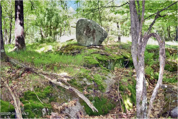 $245,000 | 364 Pease Hill Road, Horicon, NY 12815