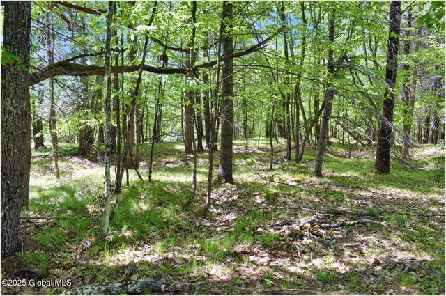 $245,000 | 364 Pease Hill Road, Horicon, NY 12815