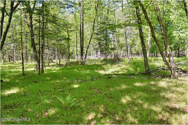 $245,000 | 364 Pease Hill Road, Horicon, NY 12815