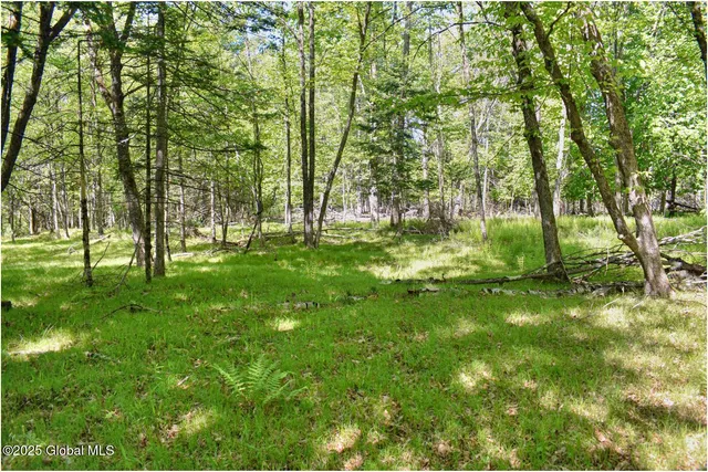 $245,000 | 364 Pease Hill Road, Horicon, NY 12815