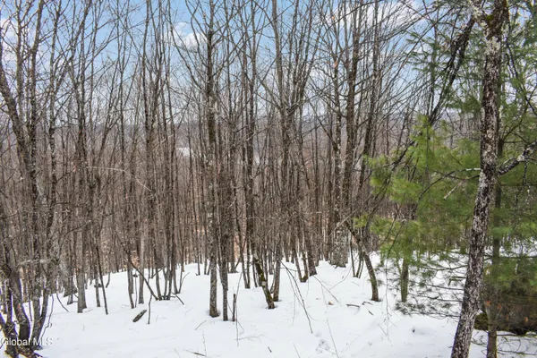 $245,000 | 364 Pease Hill Road, Horicon, NY 12815
