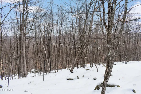 $245,000 | 364 Pease Hill Road, Horicon, NY 12815