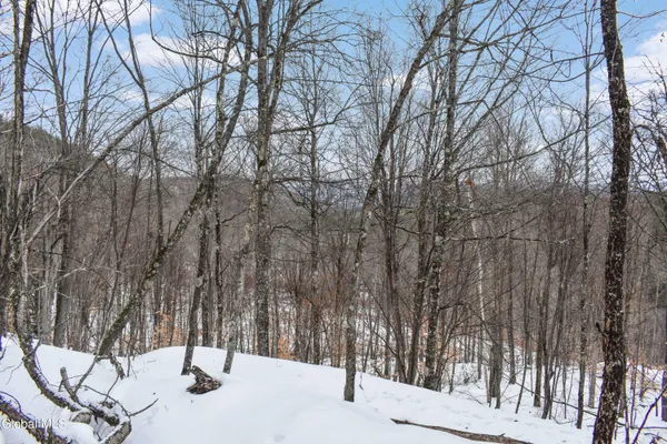 $245,000 | 364 Pease Hill Road, Horicon, NY 12815