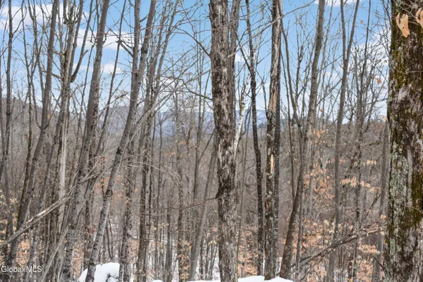 $245,000 | 364 Pease Hill Road, Horicon, NY 12815