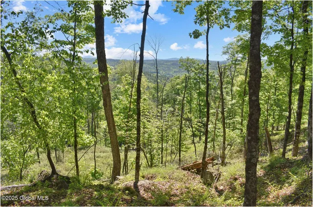 $245,000 | 364 Pease Hill Road, Horicon, NY 12815