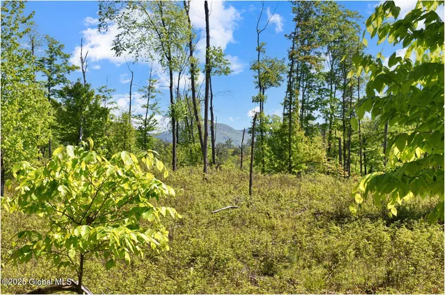 $245,000 | 364 Pease Hill Road, Horicon, NY 12815