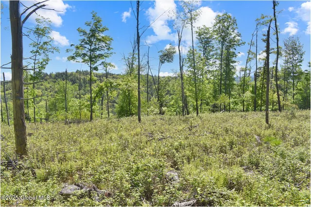 $245,000 | 364 Pease Hill Road, Horicon, NY 12815