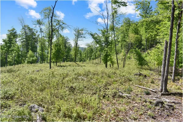 $245,000 | 364 Pease Hill Road, Horicon, NY 12815