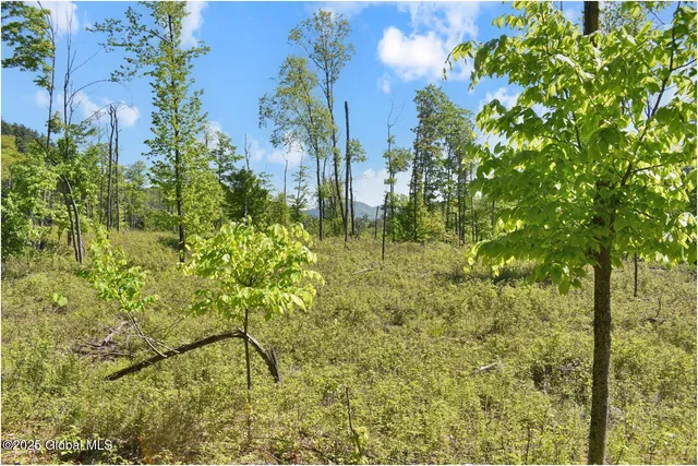 $245,000 | 364 Pease Hill Road, Horicon, NY 12815