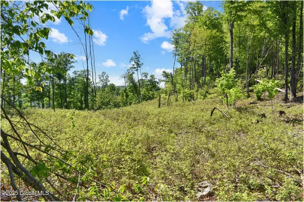 $245,000 | 364 Pease Hill Road, Horicon, NY 12815