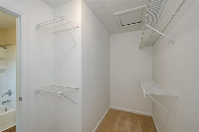 a view of walk in closet