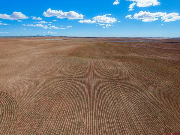 a view of an ocean and beach