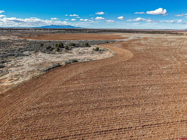 a view of a dry yard with wooden floor and outdoor space