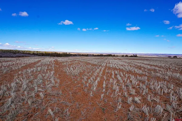 a view of a lake with a beach