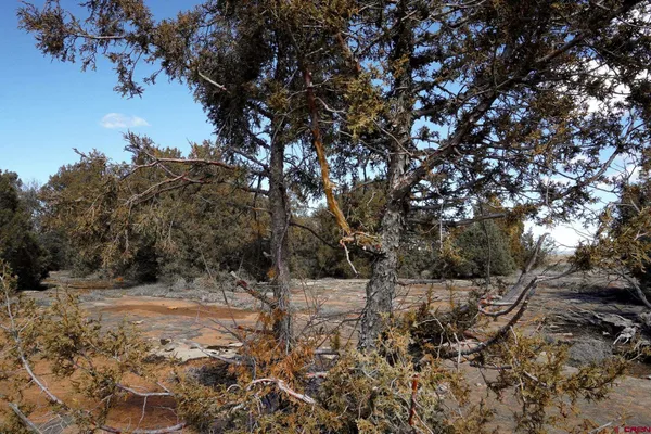 a view of lot of water heater