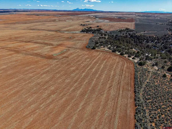 a view of an ocean beach