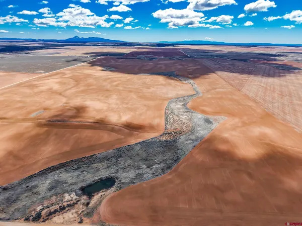 a view of a big yard