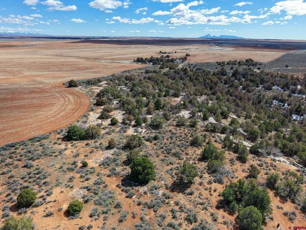 a view of an ocean and a yard