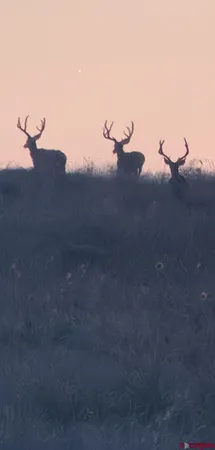 a close view of a stove