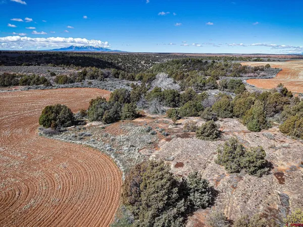 a view of an ocean beach