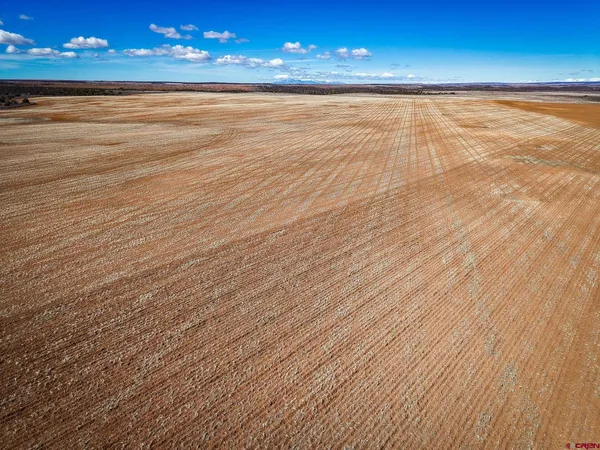 a view of a yard and mountains