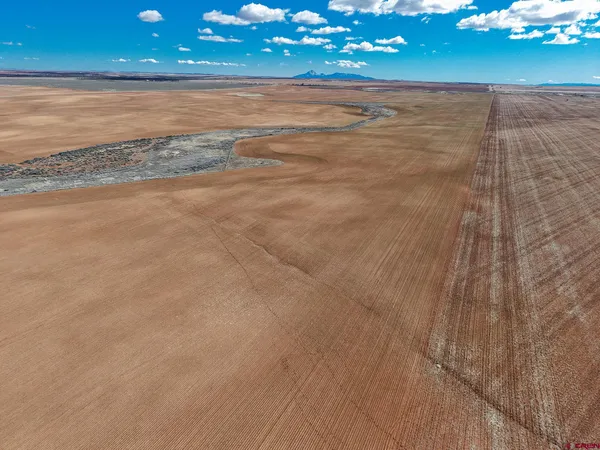 a view of a backyard of a house with a yard