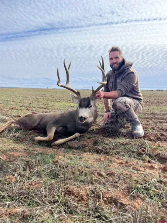 a view of beach and ocean