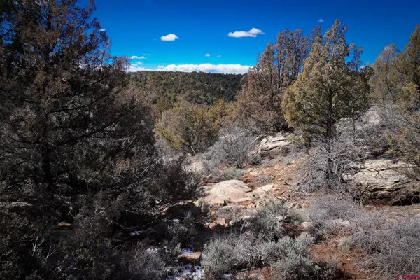 a view of an ocean and beach