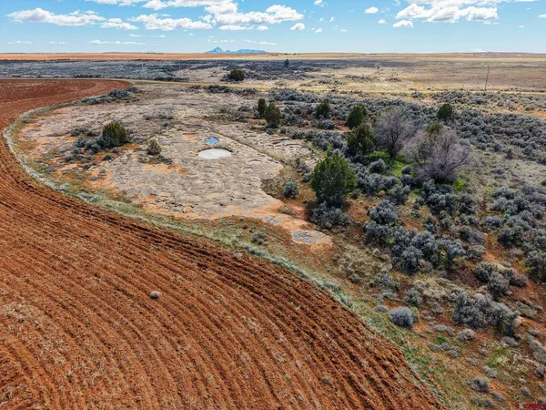 a view of swimming pool from a window
