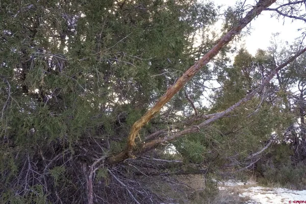 $629,900 | 3995 County Road, Dove Creek, CO 81324