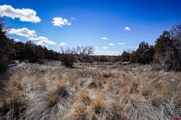 $629,900 | 3995 County Road, Dove Creek, CO 81324