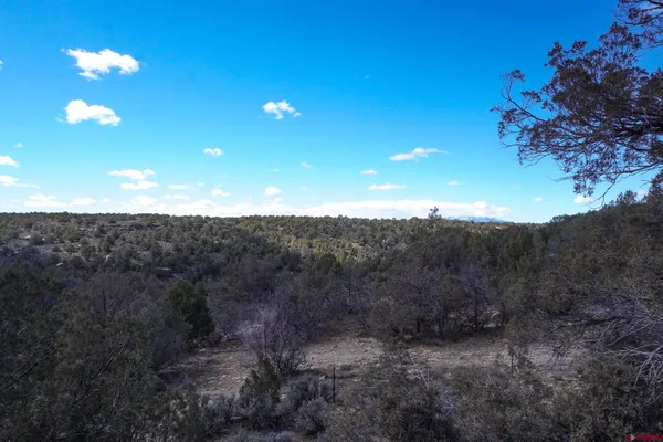 $629,900 | 3995 County Road, Dove Creek, CO 81324