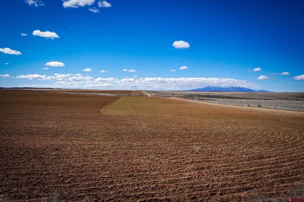 $629,900 | 3995 County Road, Dove Creek, CO 81324