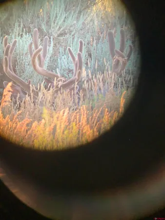 a view of an ocean and beach