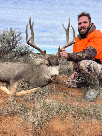 a view of an ocean beach and an ocean view