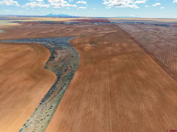 a view of side of a yard with trees