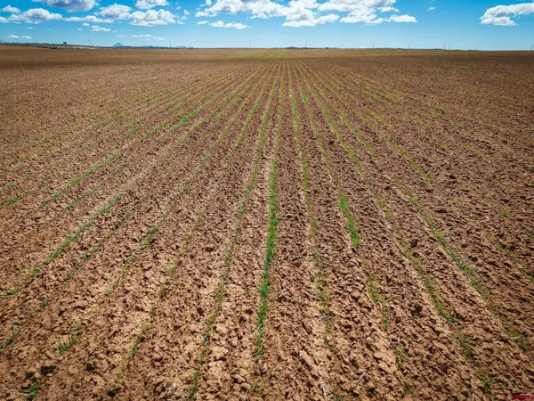 a view of an ocean and beach