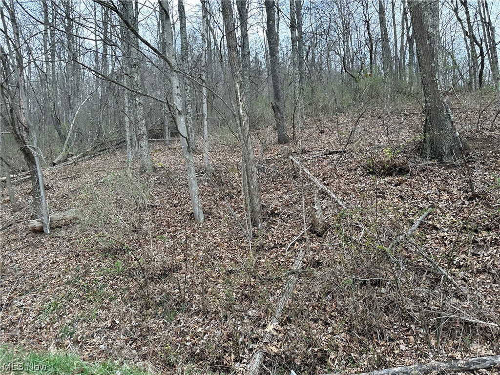 Rinehart Road Wallace, WV 26448 - Photo 4 of 14
