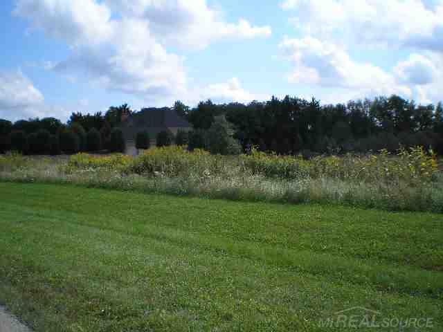 78849 Harvest Lane Romeo, MI 48065 - Photo 2 of 5 Gallery Image 2