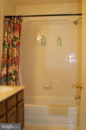 11109 Farm Road Great Falls, VA 22066 - Photo 15 of 26 Bath #2