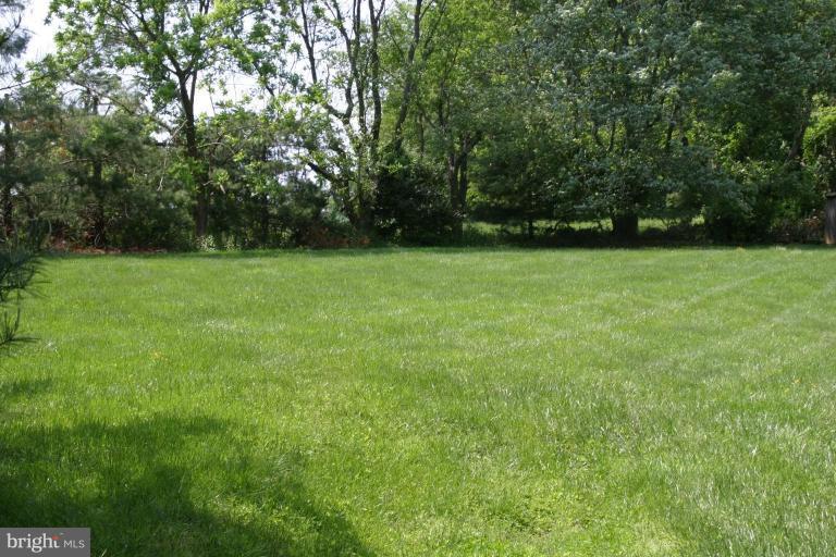 11109 Farm Road Great Falls, VA 22066 - Photo 19 of 26 Back yard