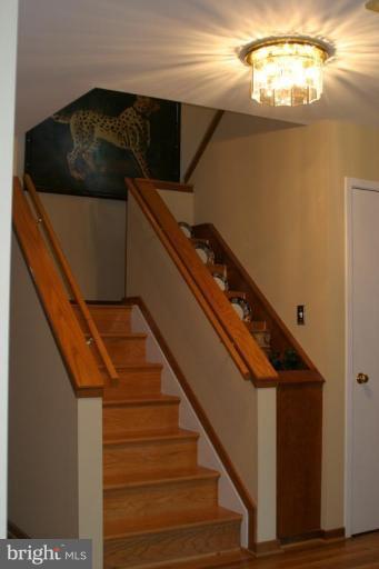 11109 Farm Road Great Falls, VA 22066 - Photo 4 of 26 Entrance / Foyer