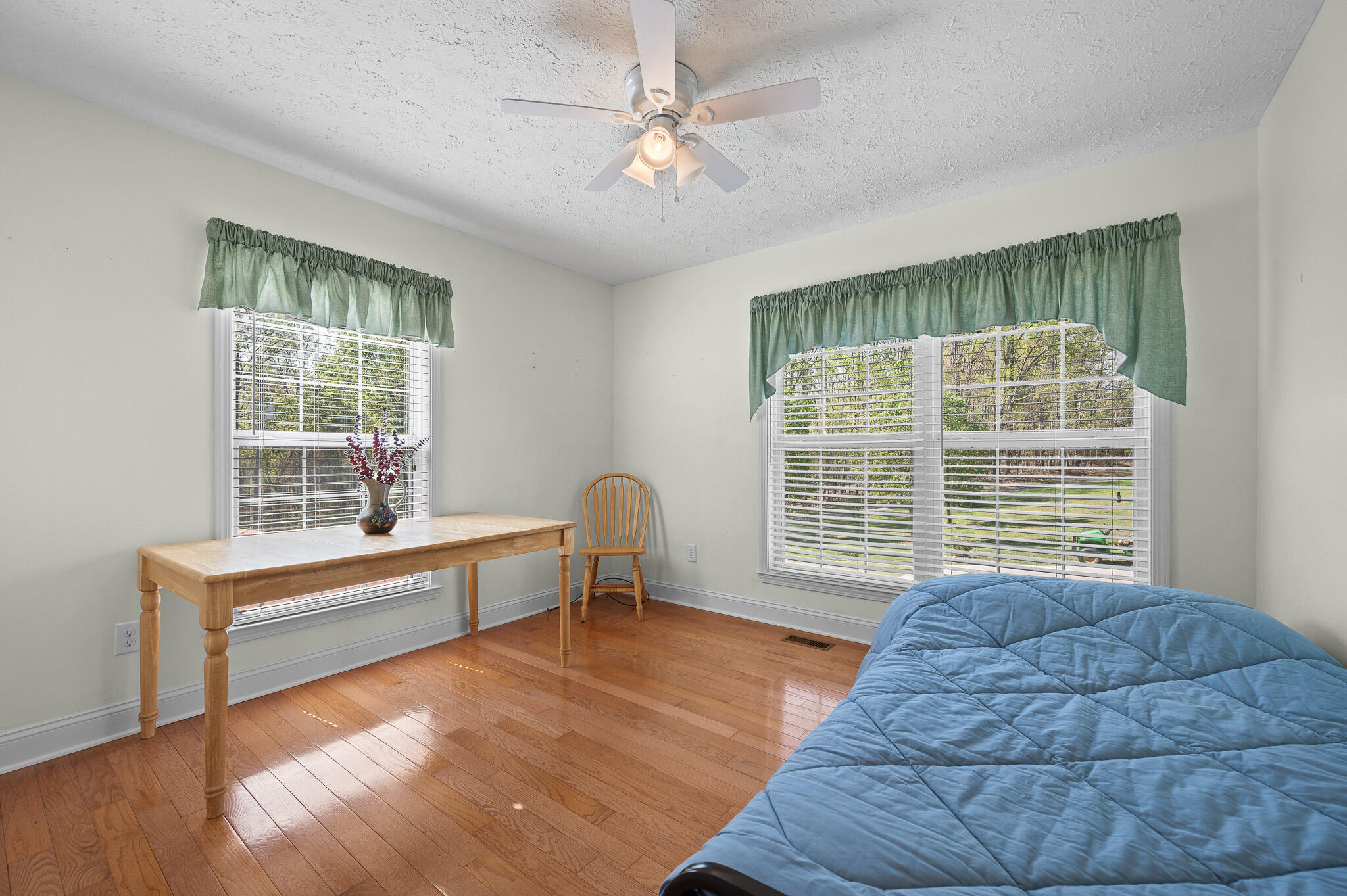 7810 Blue Ridge Drive Hurt, VA 24563 - Photo 18 of 48 23