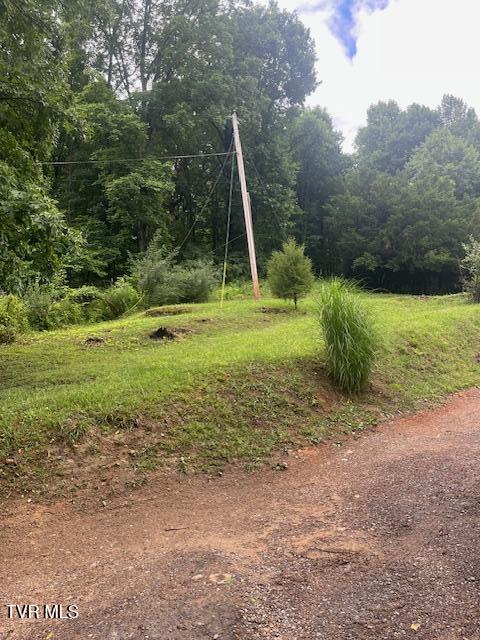 0 Bear Town Road Kingsport, TN 37660 - Photo 3 of 3 IMG_2249