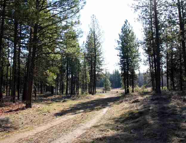 3302 West Depot Springs Road Cheney, WA 99004 - Photo 2 of 9