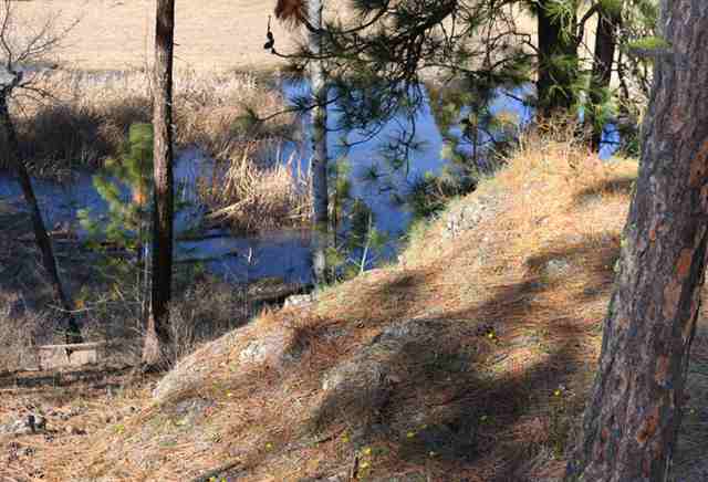3302 West Depot Springs Road Cheney, WA 99004 - Photo 4 of 9