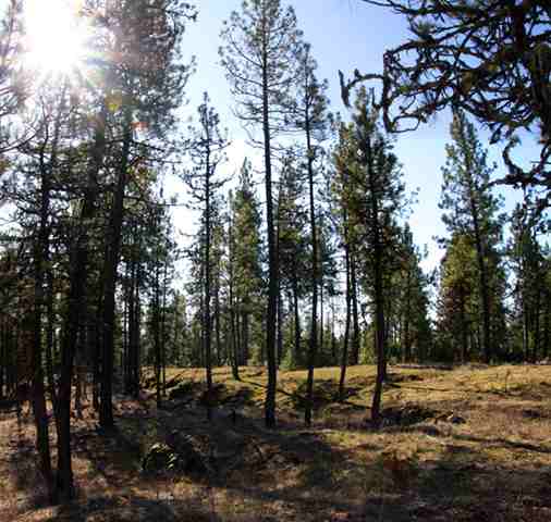 3302 West Depot Springs Road Cheney, WA 99004 - Photo 5 of 9